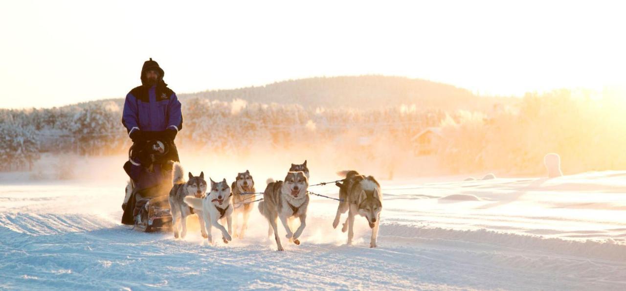 Northern Lights Village Леви Экстерьер фото